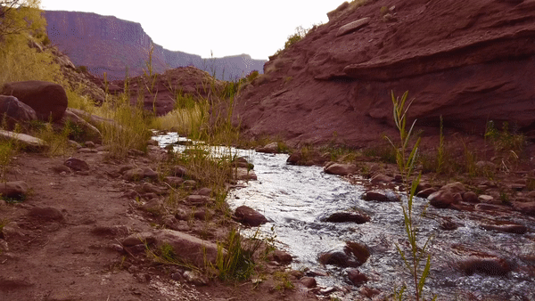 A canyon river